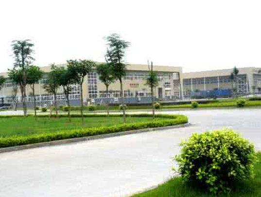 p01